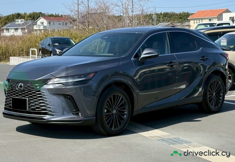 Lexus RX Grey