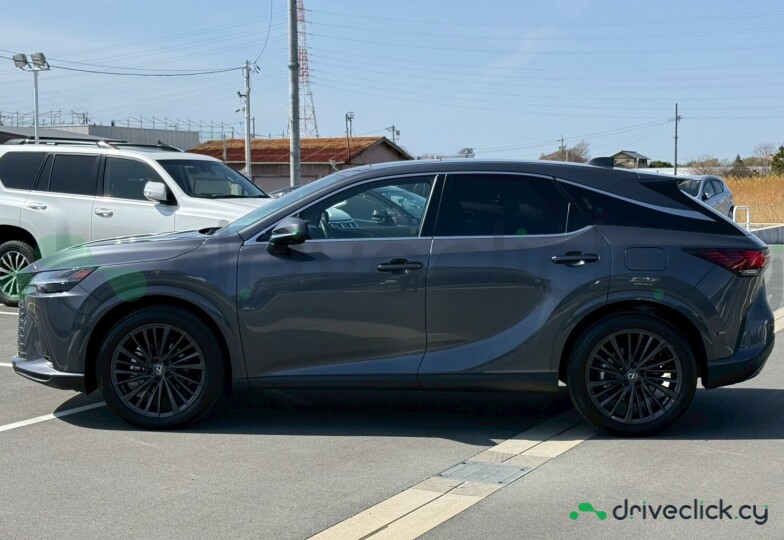 Lexus RX Grey
