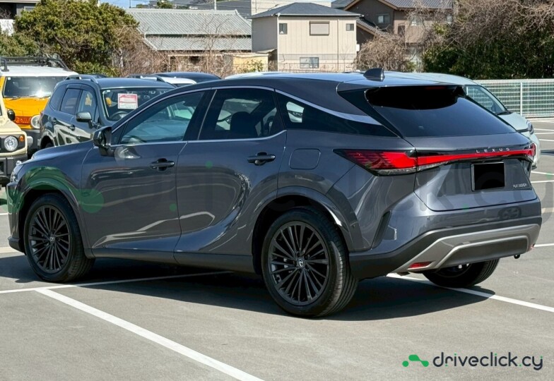 Lexus RX Grey