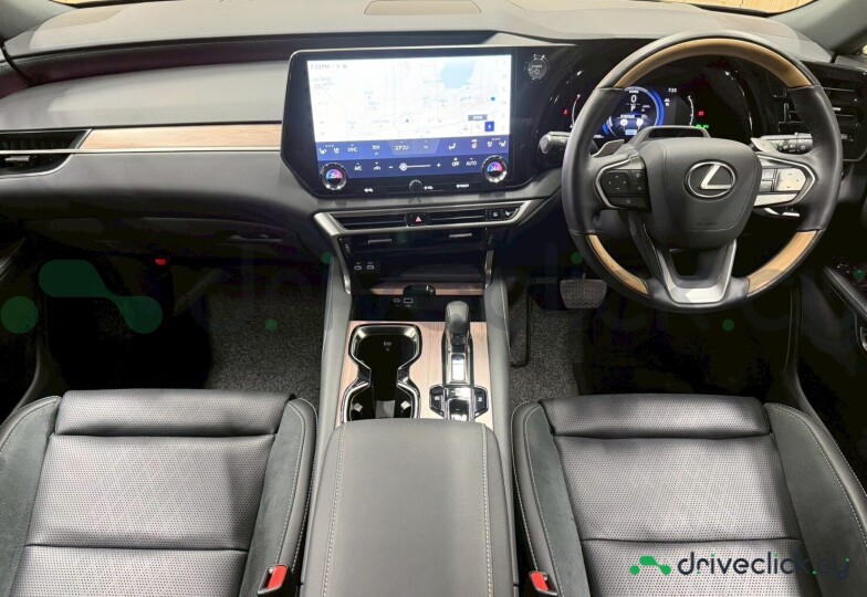 Lexus RX Grey