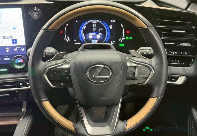 Lexus RX Grey