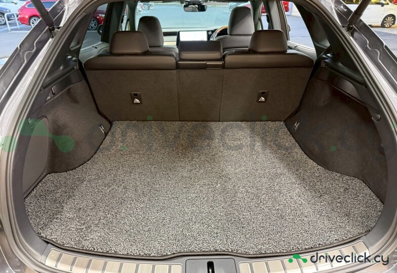 Lexus RX Grey