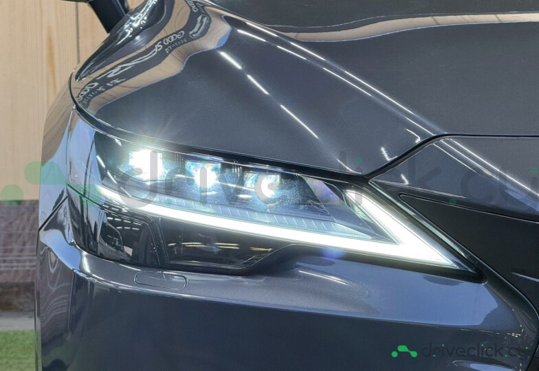 Lexus RX Grey