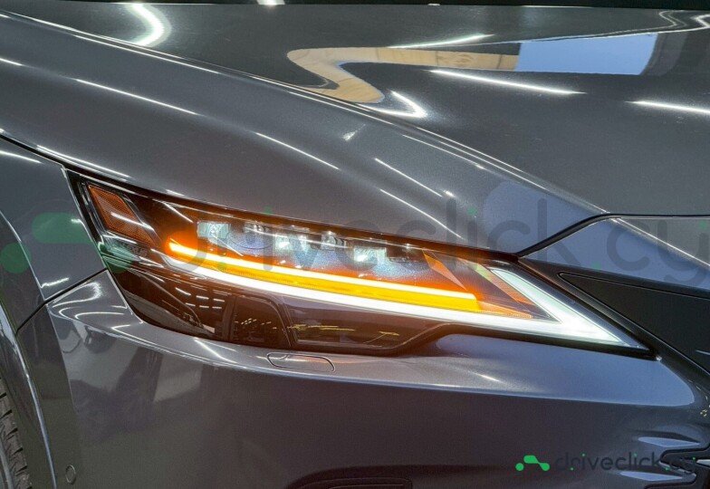 Lexus RX Grey