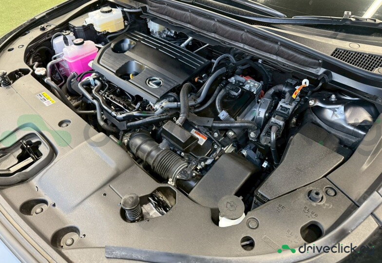 Lexus RX Grey