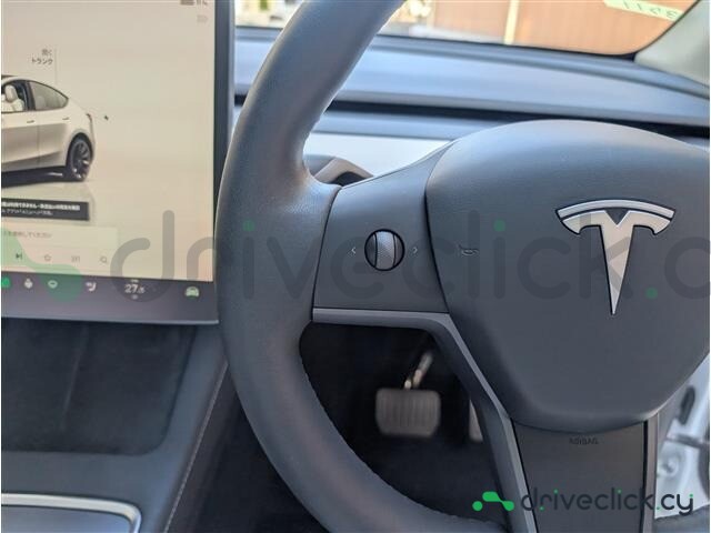 Tesla Model Y White