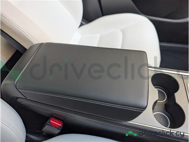 Tesla Model Y White