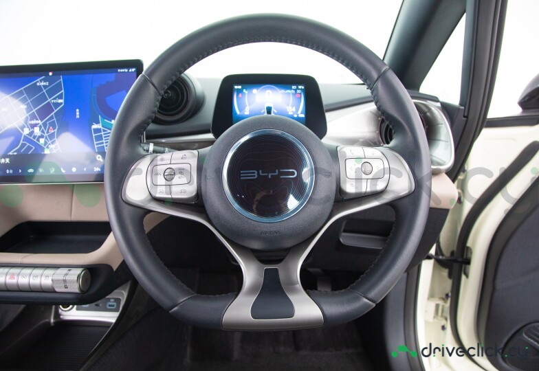 BYD Dolphin Белый