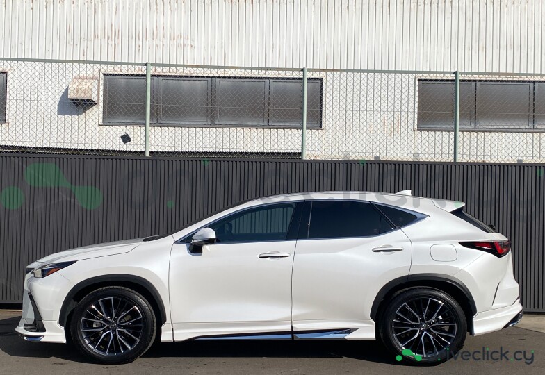 Lexus NX White