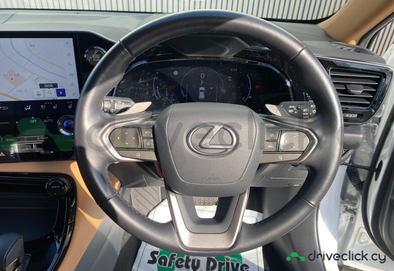 Lexus NX White