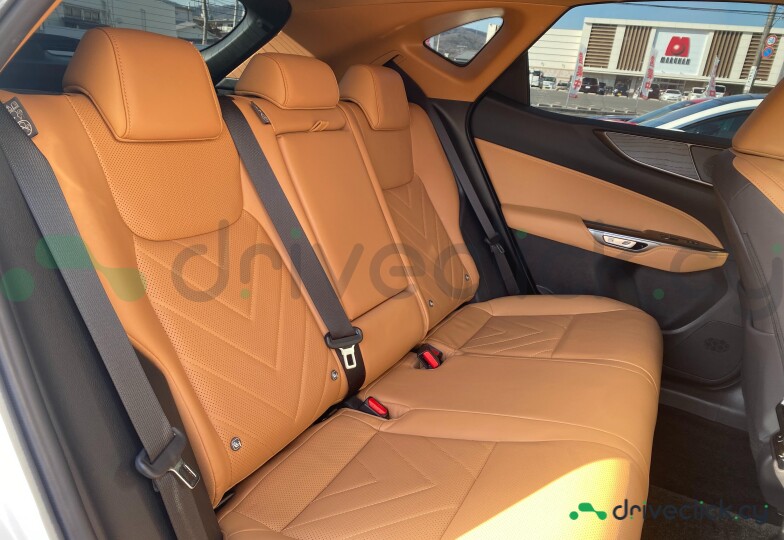 Lexus NX White