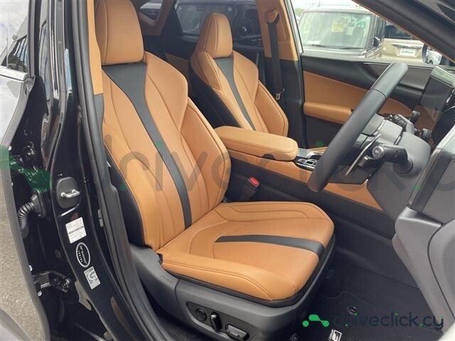 Lexus NX Black