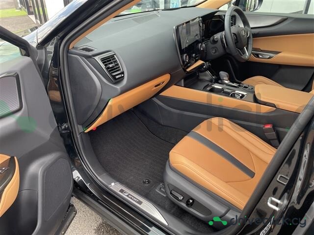 Lexus NX Black
