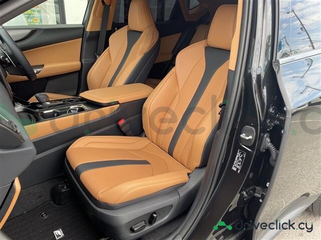 Lexus NX Black