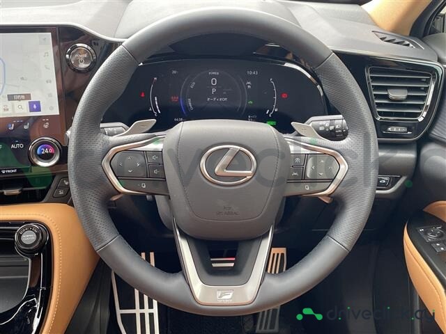 Lexus NX Black