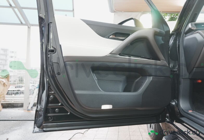 Lexus LX Black