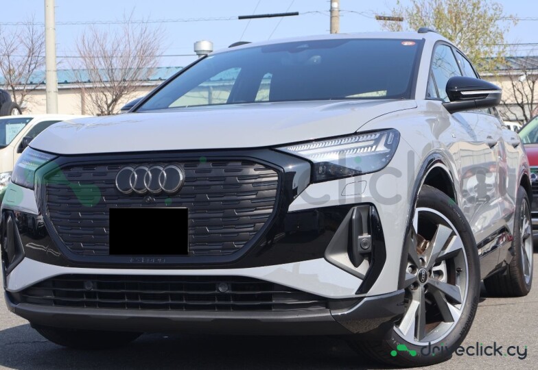 Audi Q4 e-tron Grey
