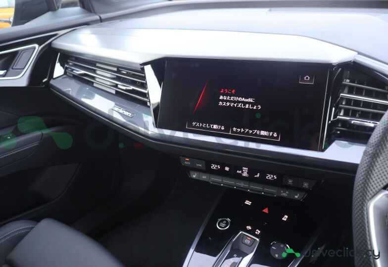Audi Q4 e-tron Grey