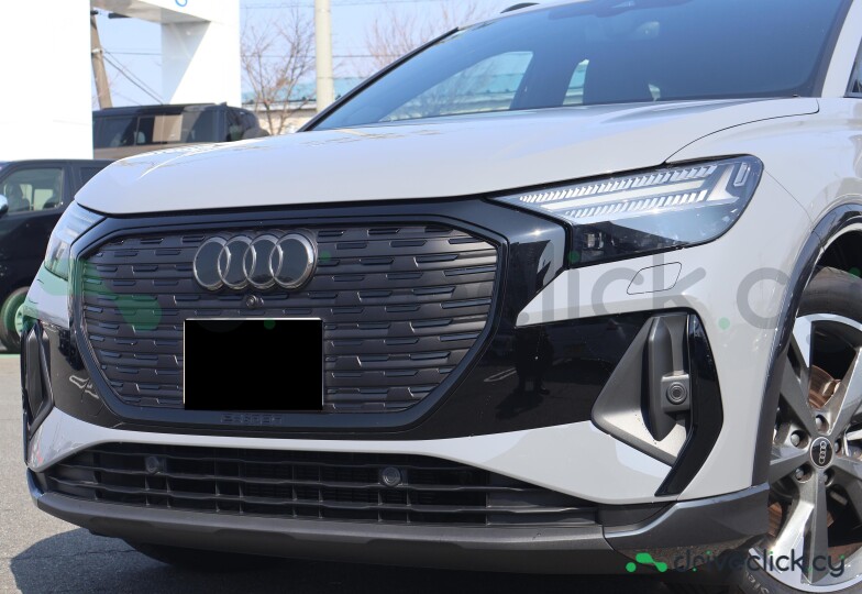 Audi Q4 e-tron Grey