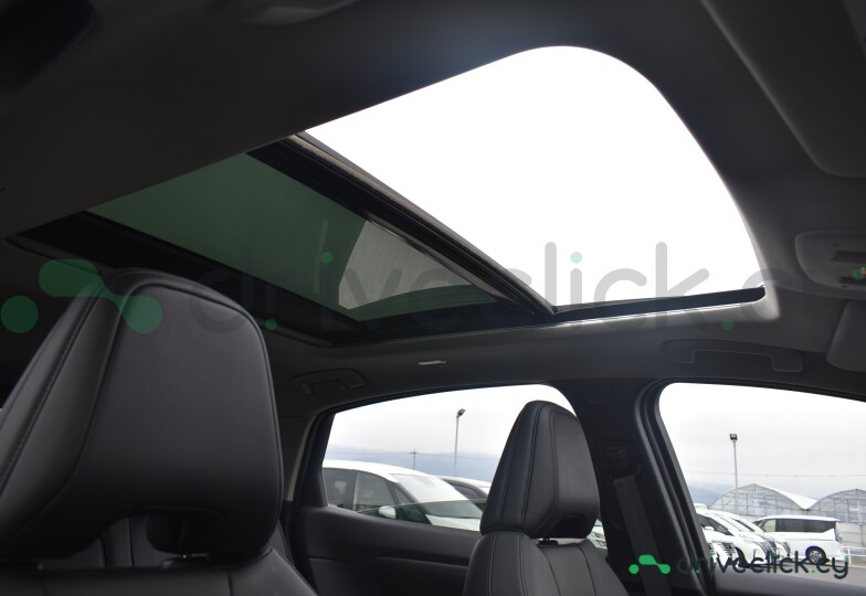 Nissan Ariya Black