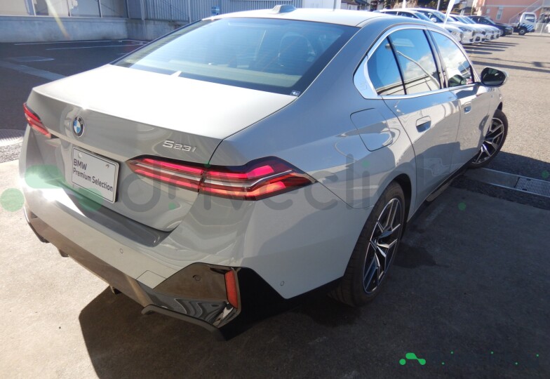 BMW 5 series Grey