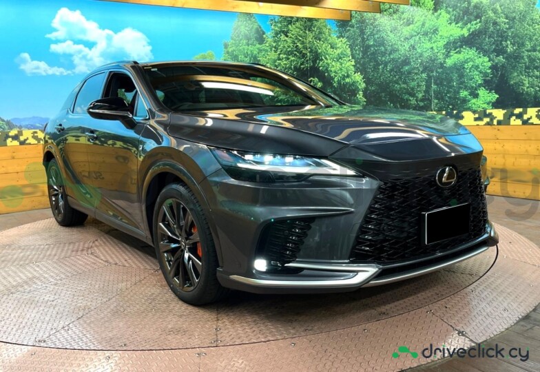 Lexus RX Grey