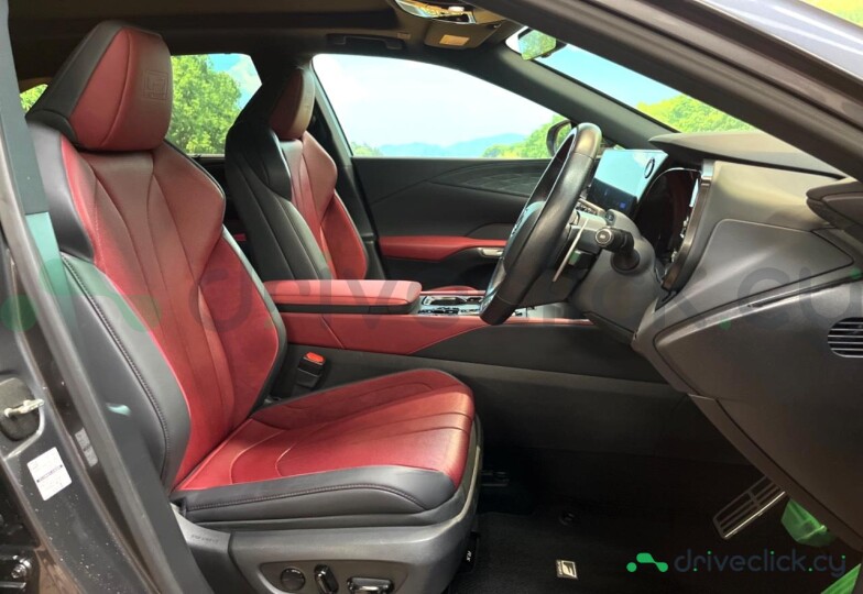 Lexus RX Grey