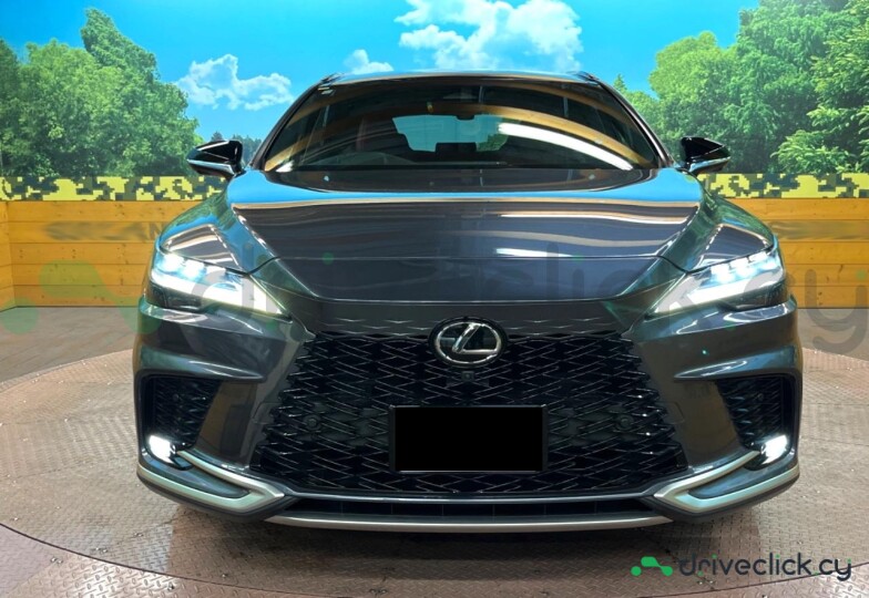 Lexus RX Grey