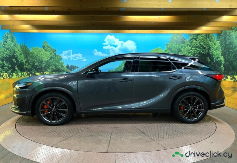 Lexus RX Grey