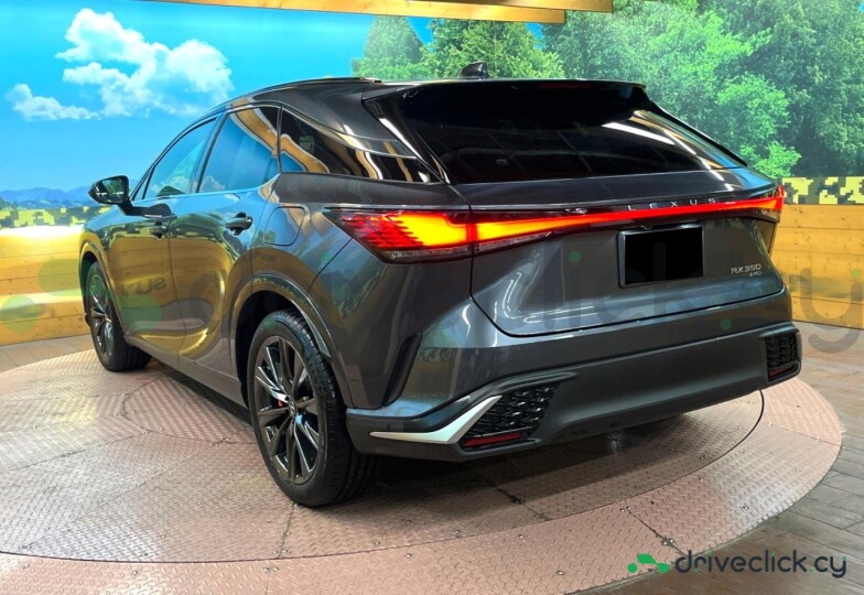 Lexus RX Grey
