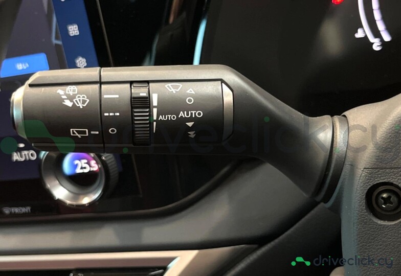 Lexus RX Grey
