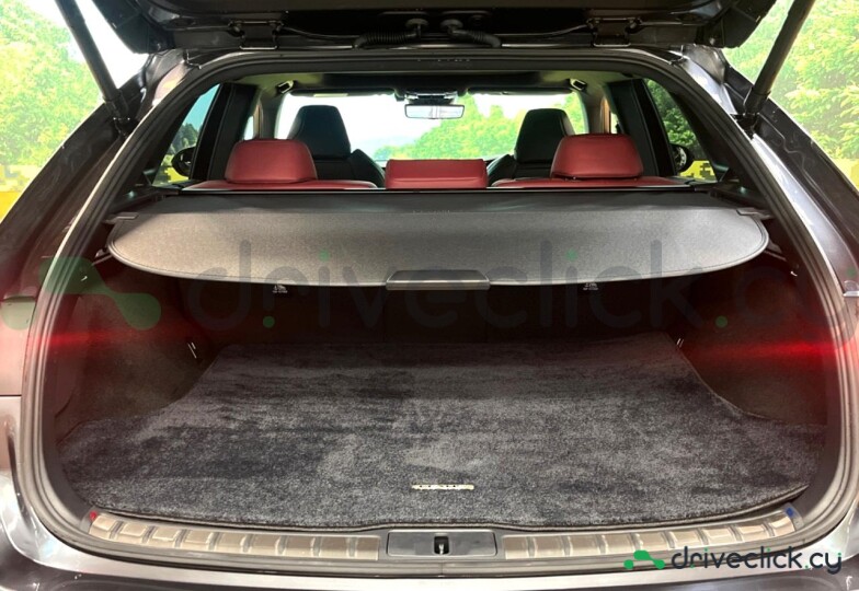 Lexus RX Grey