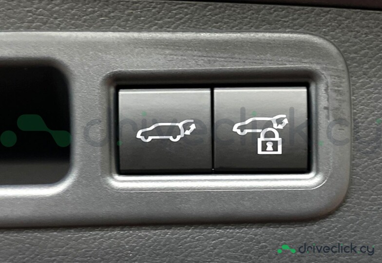 Lexus RX Grey