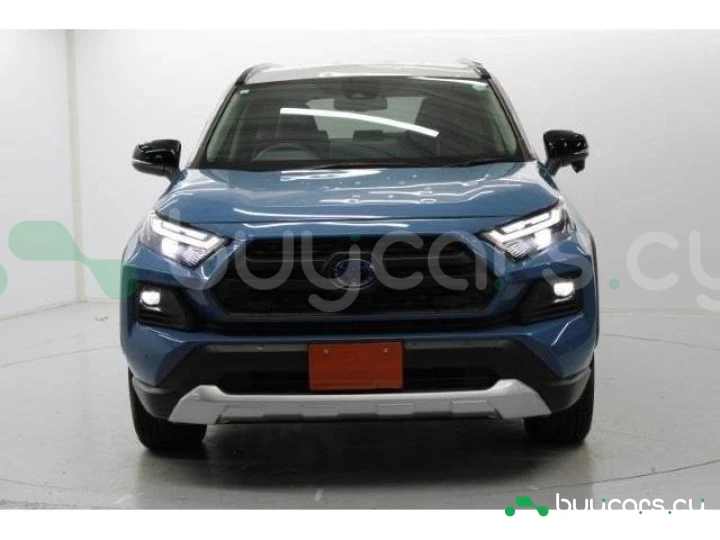 Toyota RAV4 Синий