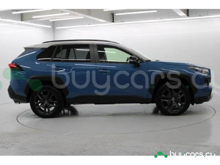 Toyota RAV4 Синий