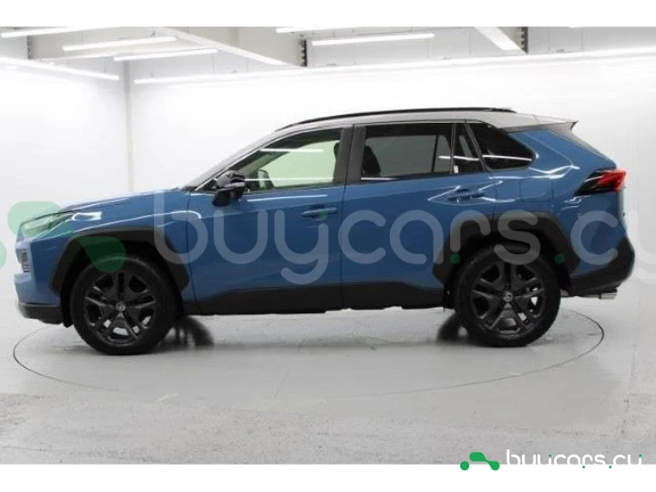 Toyota RAV4 Синий