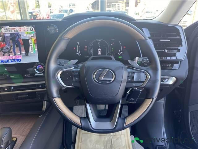 Lexus RX Black