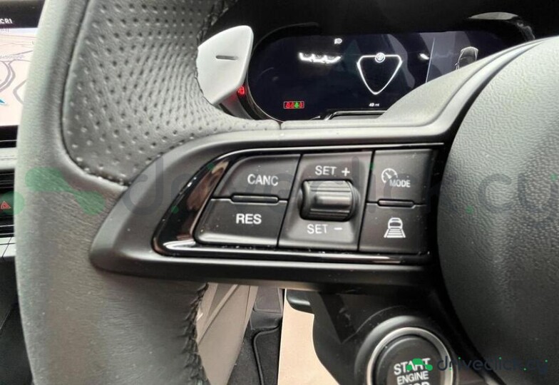 Alfa Romeo Tonale Серый
