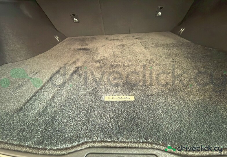 Lexus RX Black