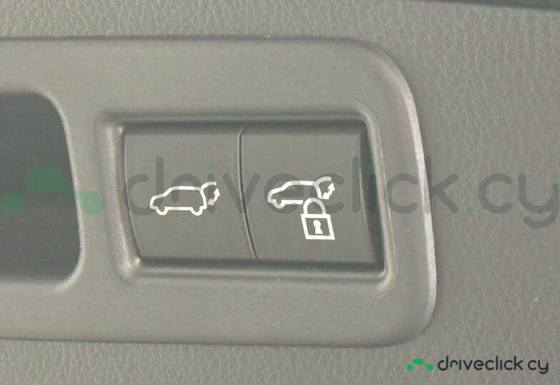 Lexus RX Black