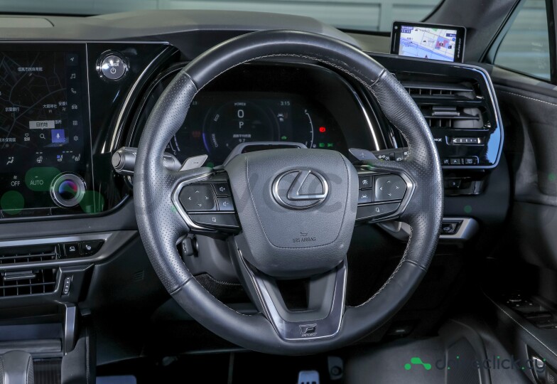 Lexus RX Black