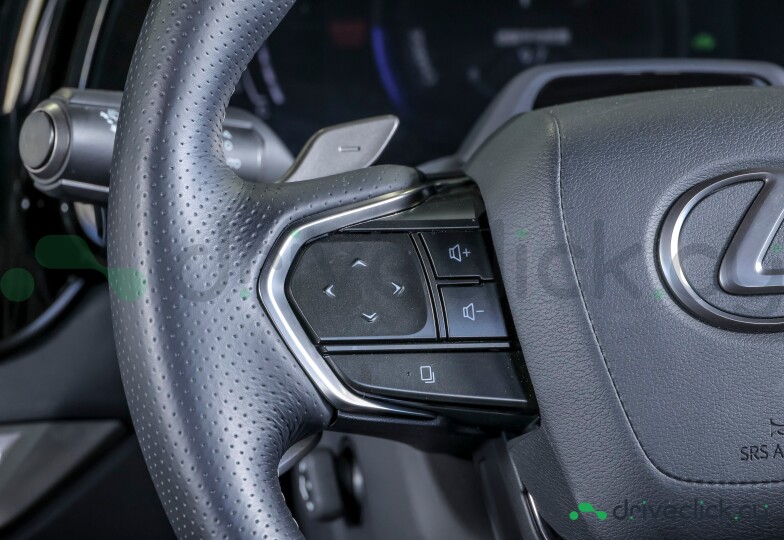 Lexus RX Black