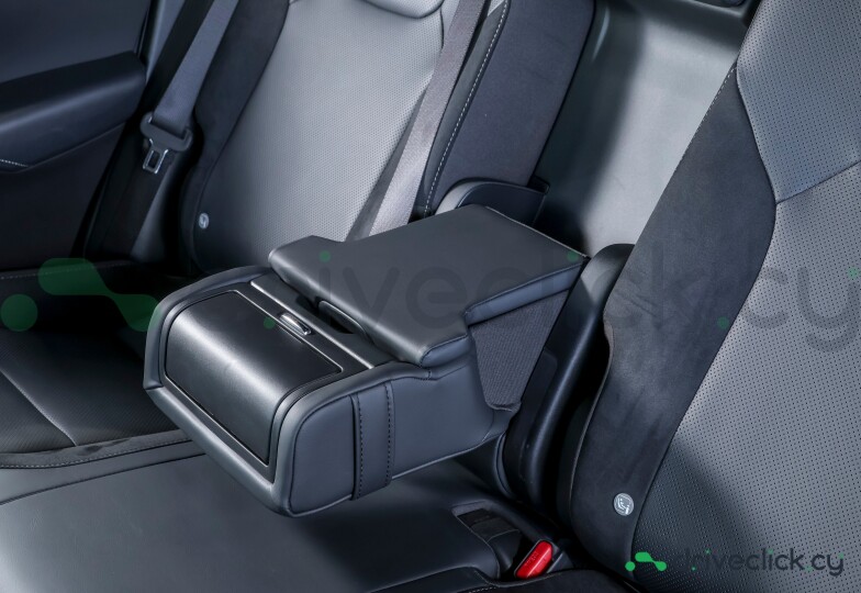 Lexus RX Black