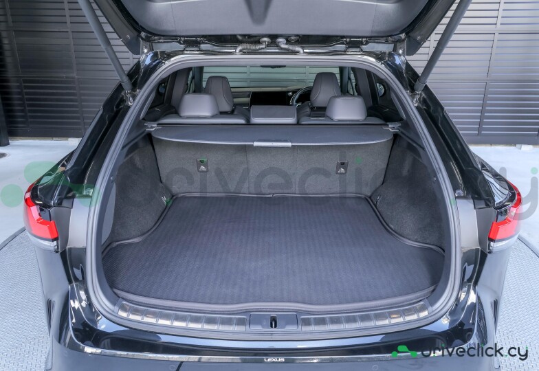 Lexus RX Black