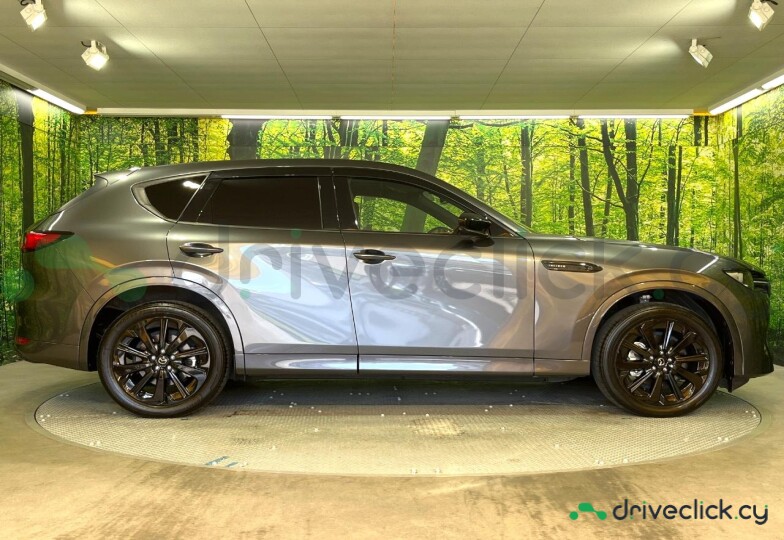 Mazda CX-60 Другой