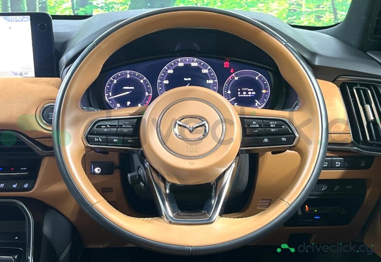 Mazda CX-60 Другой
