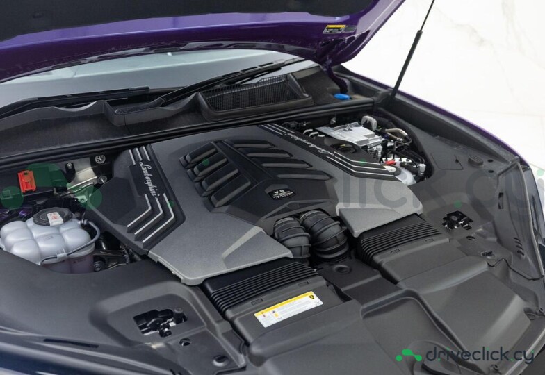 Lamborghini Urus Purple