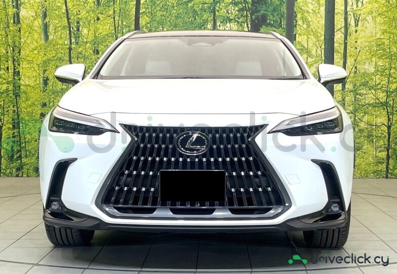 Lexus NX Белый