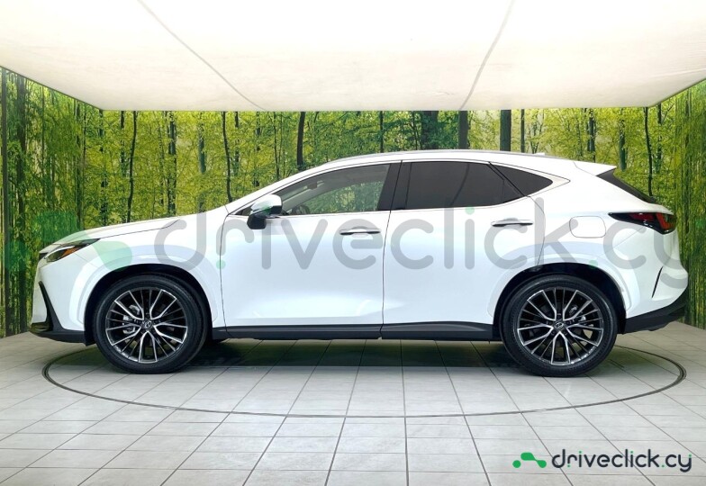 Lexus NX Белый
