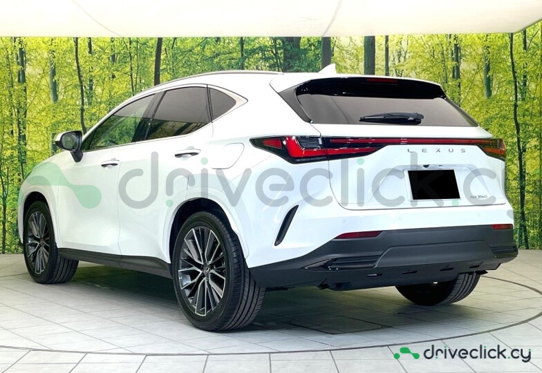 Lexus NX Белый